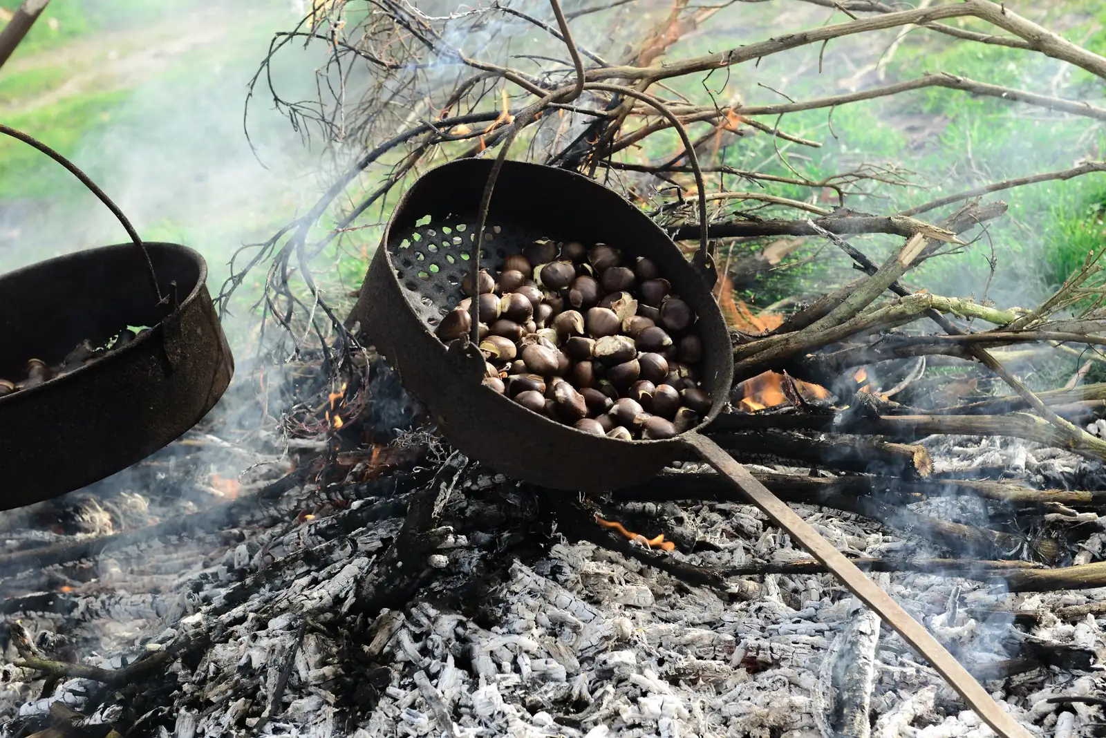 Castanhas a assar em sertãs de ferro furadas, pousadas sobre a fogueira e as cinzas de um magusto