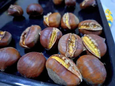 Castanhas assadas num tabuleiro de forno, com a casca aberta no golpe e o miolo amarelo à vista