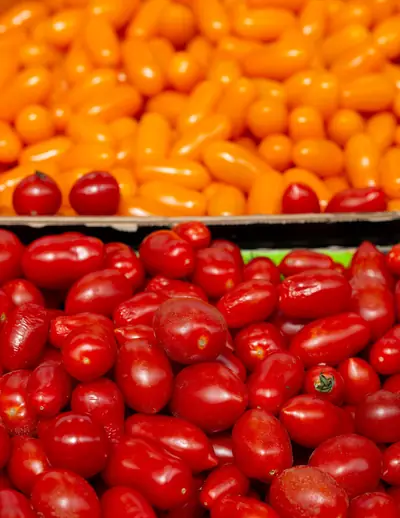 Tomate-cereja vermelho e laranja numa banca do Mercado de Arroios, em Lisboa
